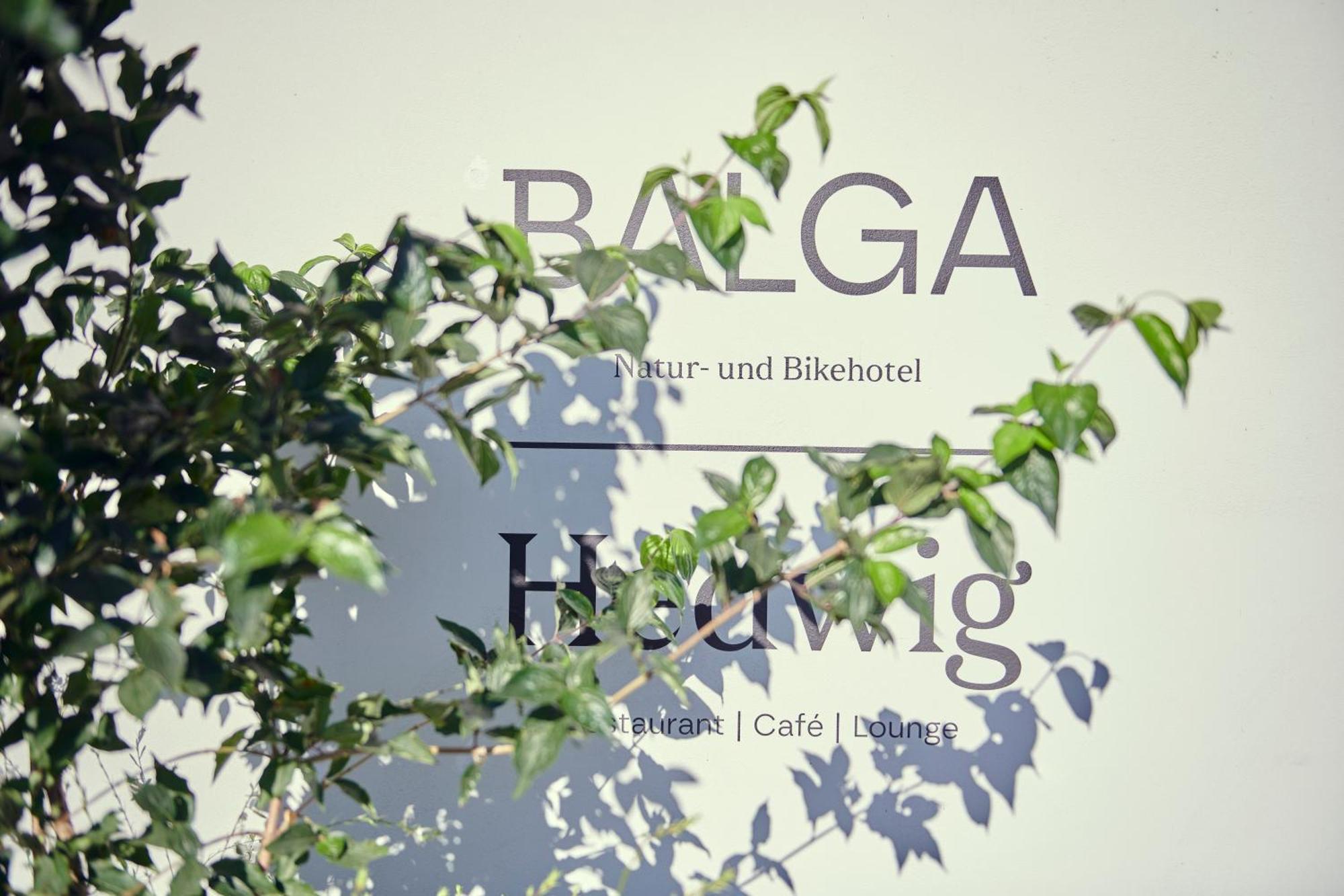 Hotel Balga Natur- Und Bikehotel Balgach المظهر الخارجي الصورة