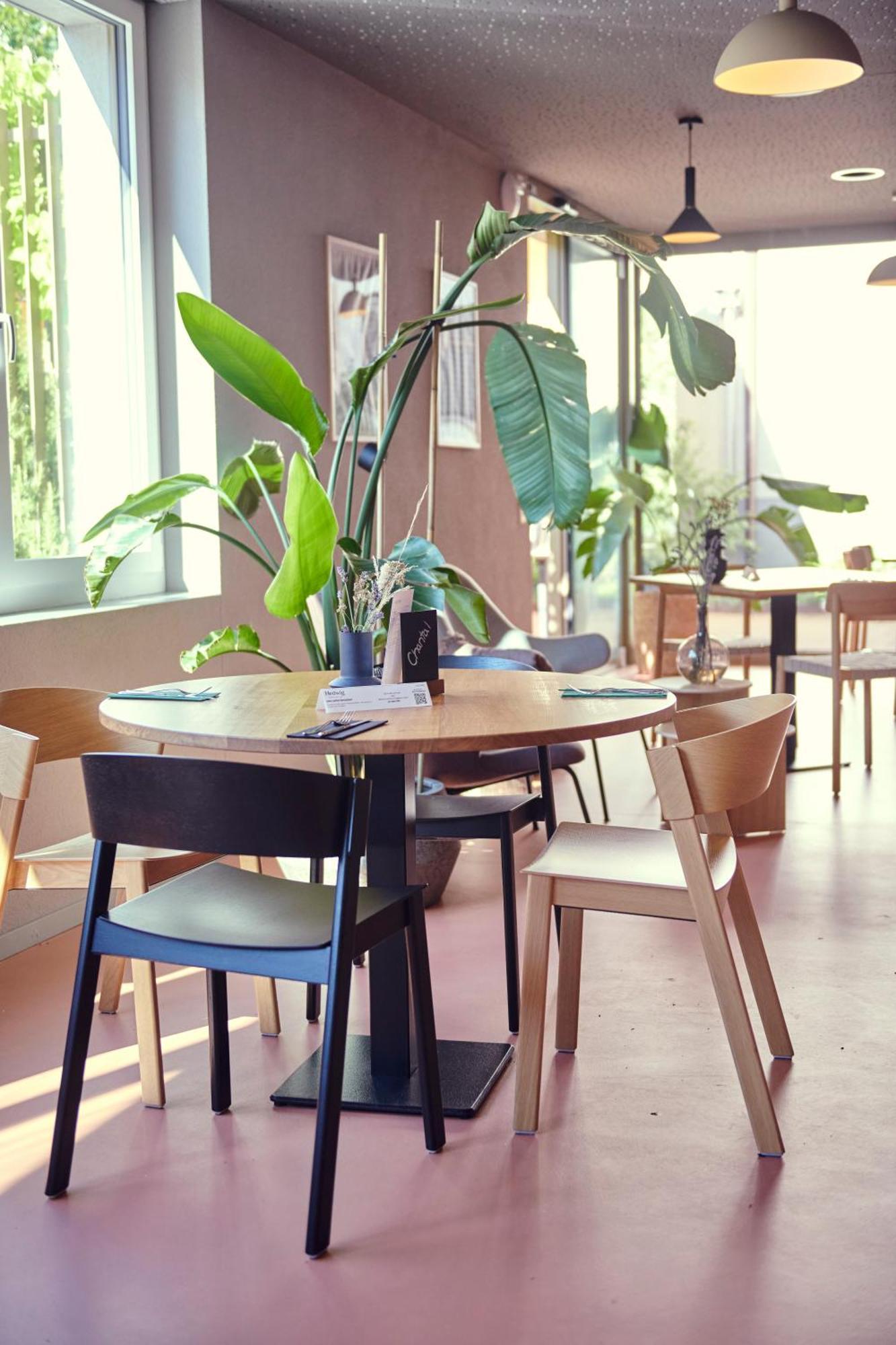 Hotel Balga Natur- Und Bikehotel Balgach المظهر الخارجي الصورة